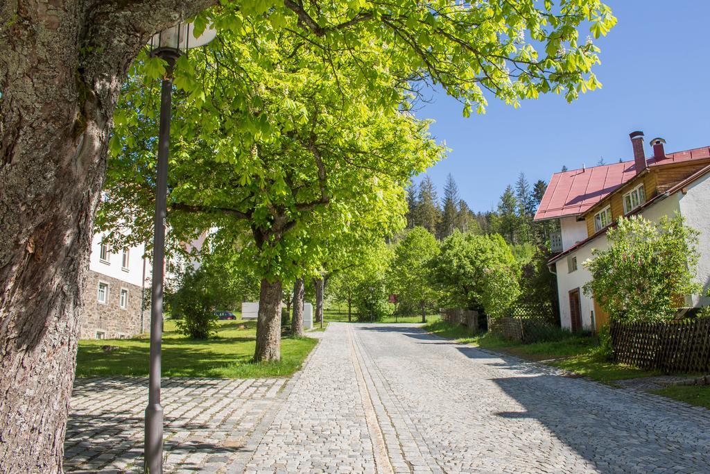 Ferienwohnung Treml Bayerisch Eisenstein Ngoại thất bức ảnh